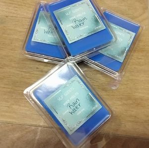 RAIN WATER WAX MELTS